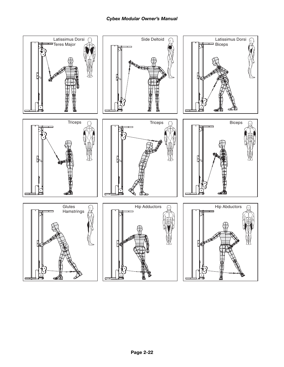 Cybex 55620H Modular User Manual | Page 46 / 190