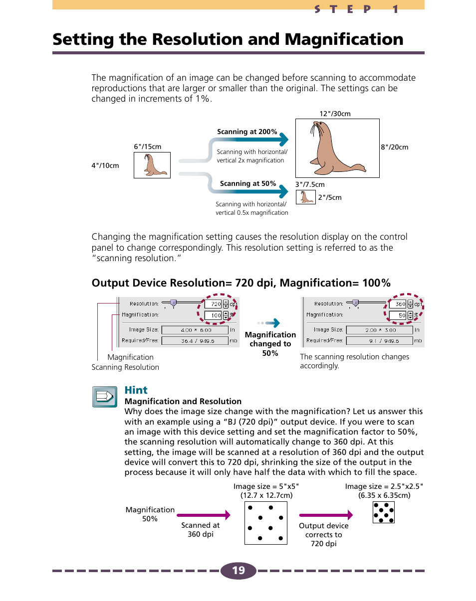 Setting the resolution and magnification, Pp. 19-20, P. 19 | P. 19), Of the output image display, Hint | Canon D646U User Manual | Page 19 / 69