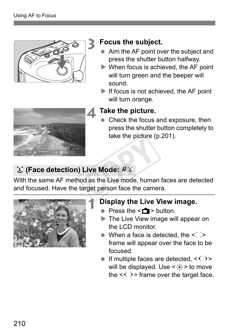 Cop y | Canon 1D X User Manual | Page 210 / 420