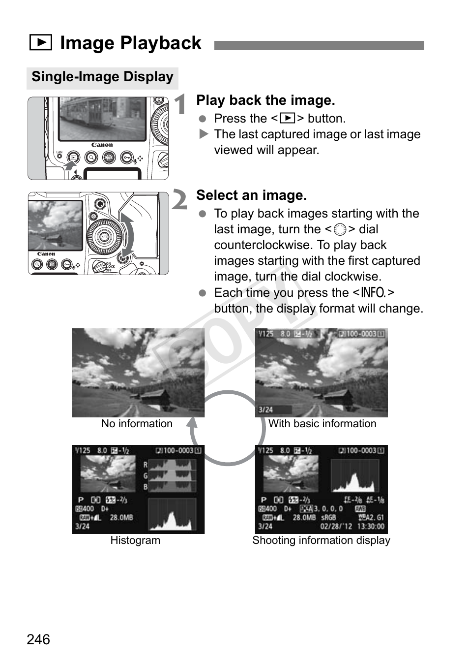 Image playback, P.246, Cop y | Canon 1D X User Manual | Page 246 / 420