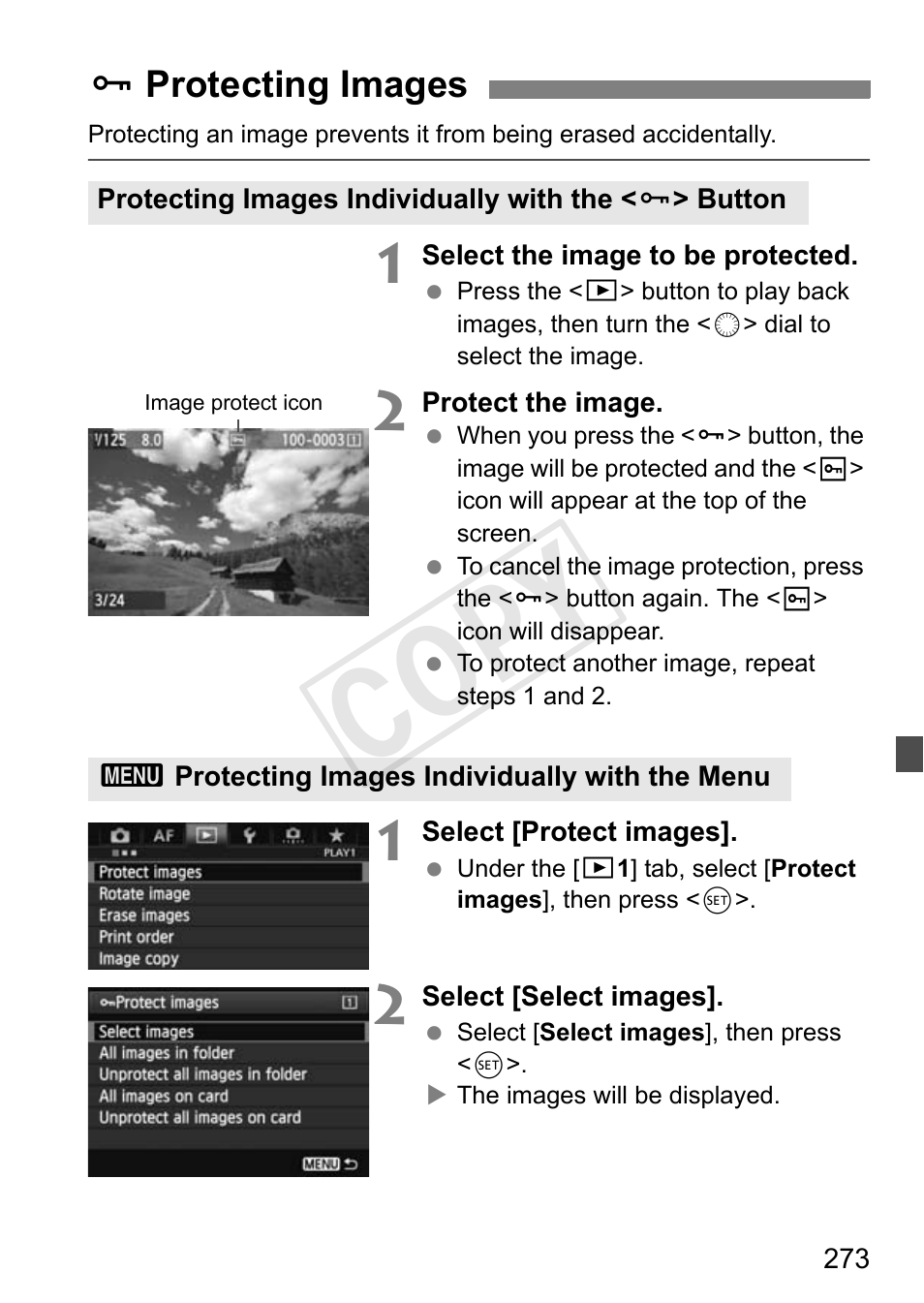 Protecting images, P.273, Cop y | Canon 1D X User Manual | Page 273 / 420