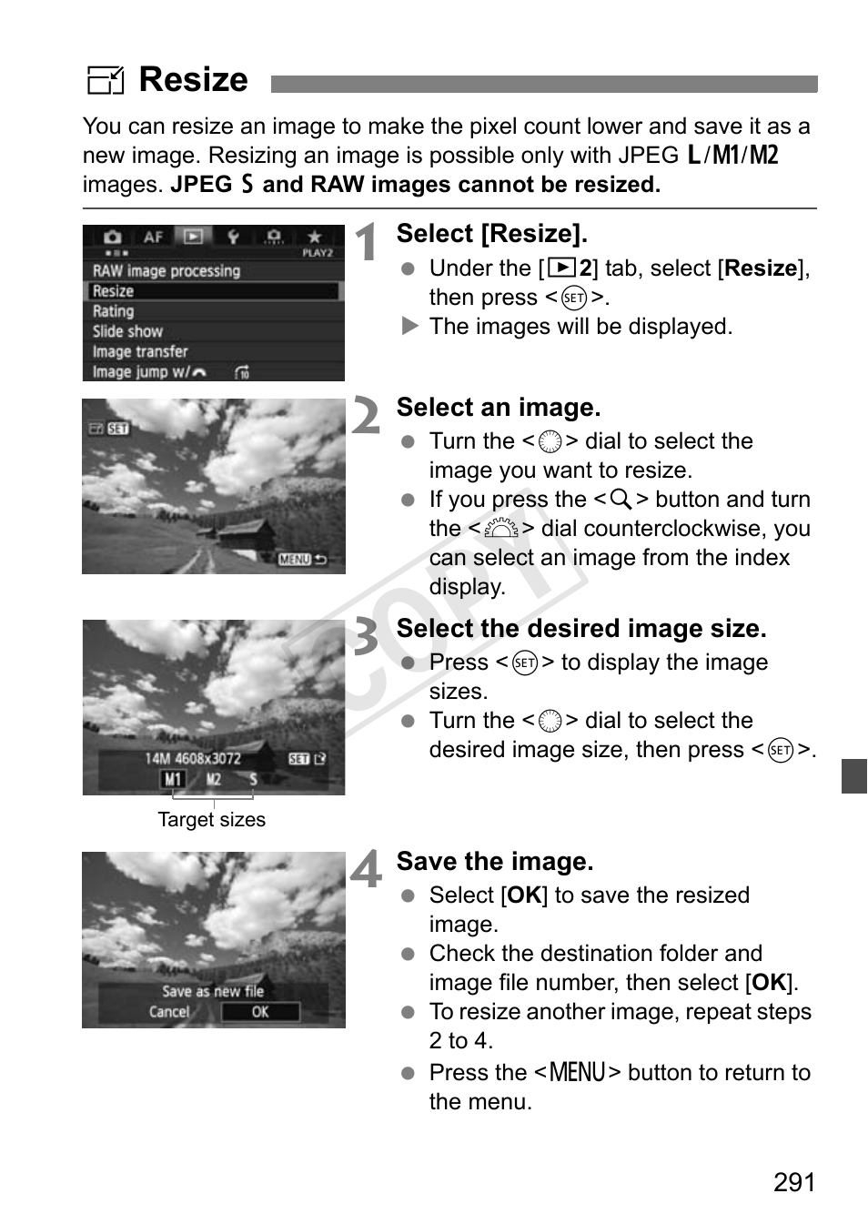 Resize, P.291, Cop y | Canon 1D X User Manual | Page 291 / 420