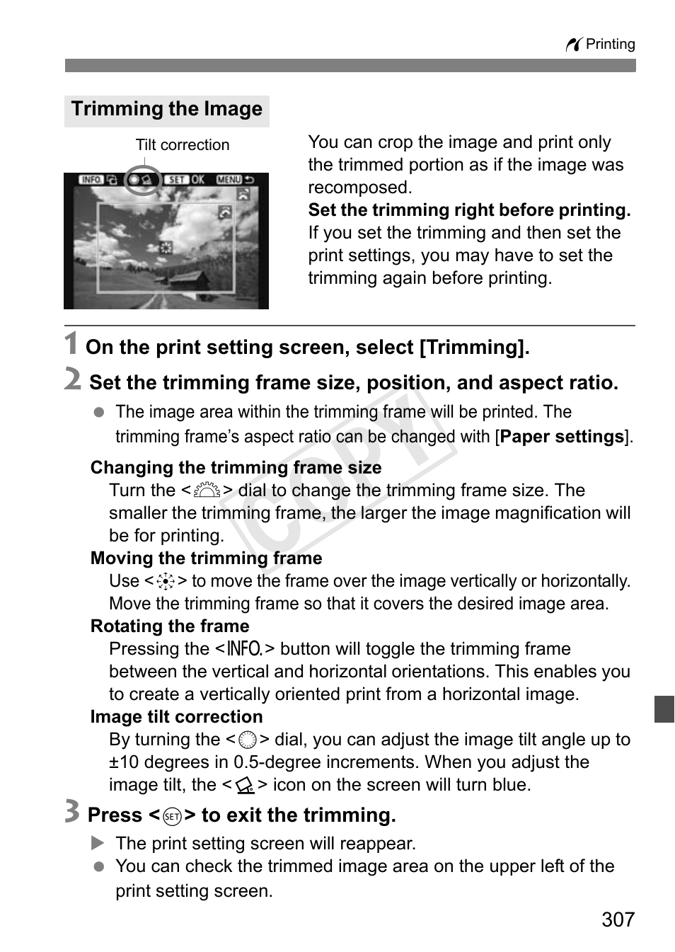 Trimming the image, Cop y | Canon 1D X User Manual | Page 307 / 420