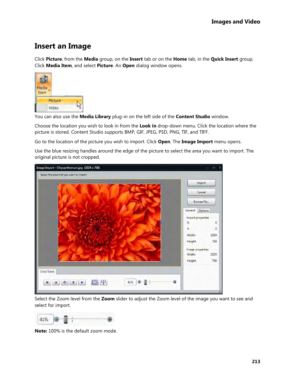 Insert an image, Image | Daktronics Venus 1500 Version 4 User Manual | Page 223 / 254