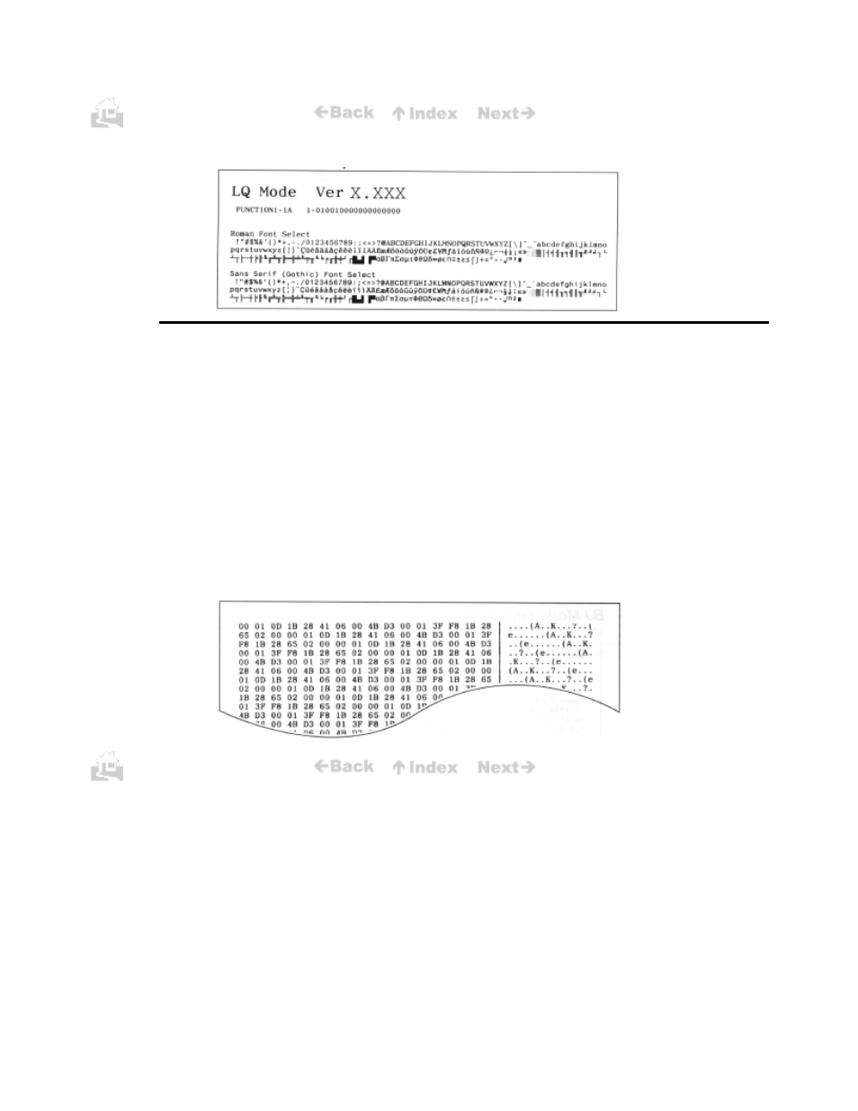 Hexadecimal dump test | Canon BJC-50 User Manual | Page 52 / 141