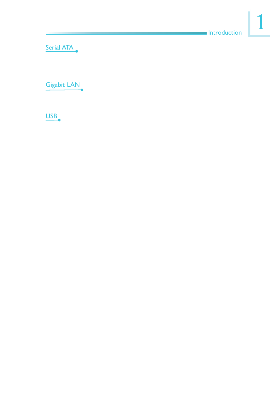 DFI LR100-N16D User Manual | Page 13 / 126