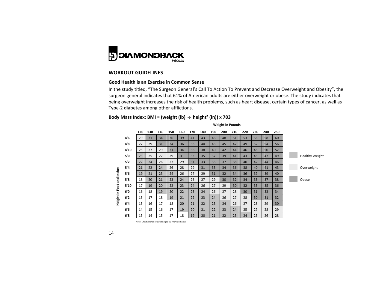 Workout guidelines | Diamondback 500ER User Manual | Page 14 / 40