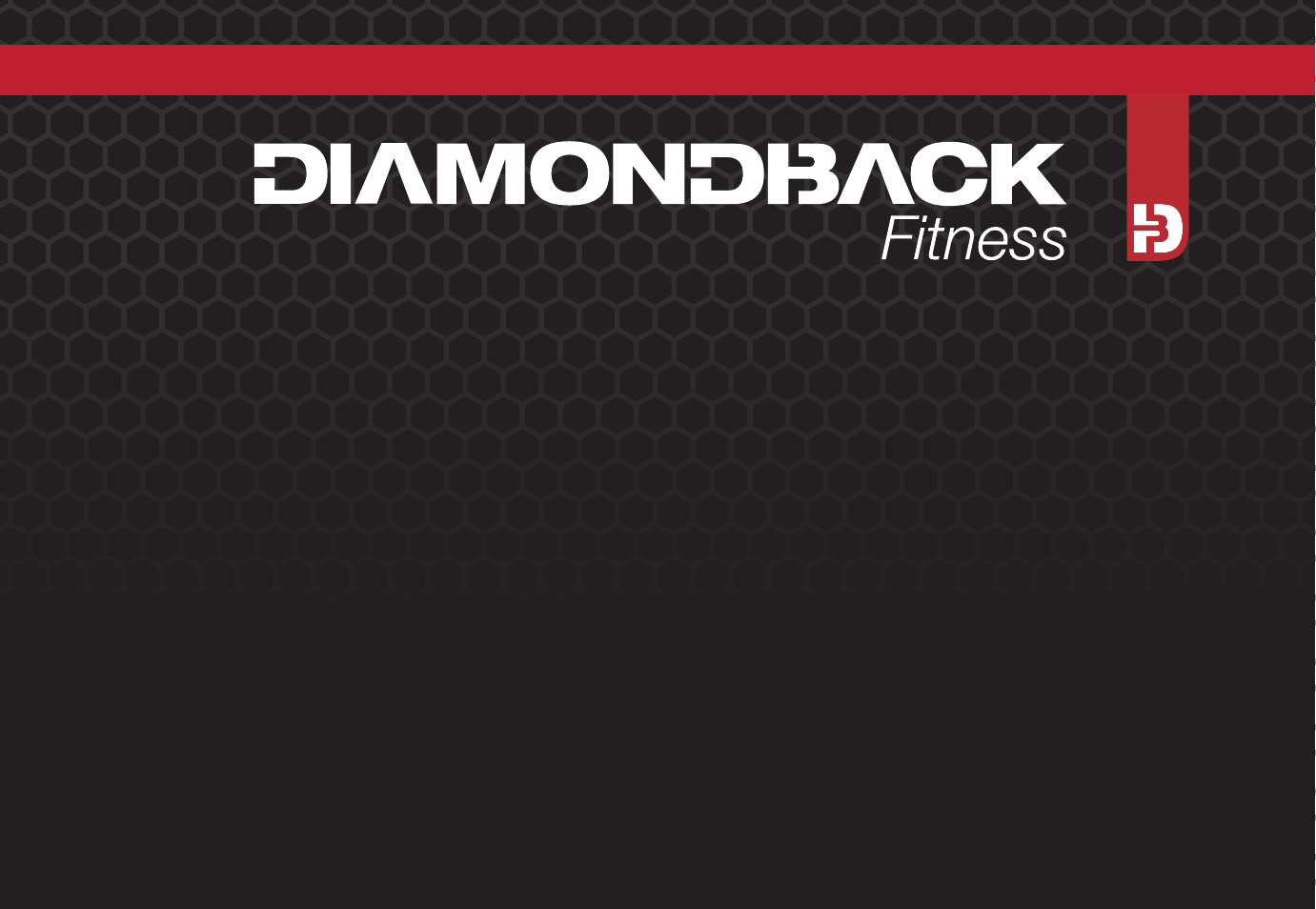 Diamondback Fitness 510Ic User Manual | 40 pages