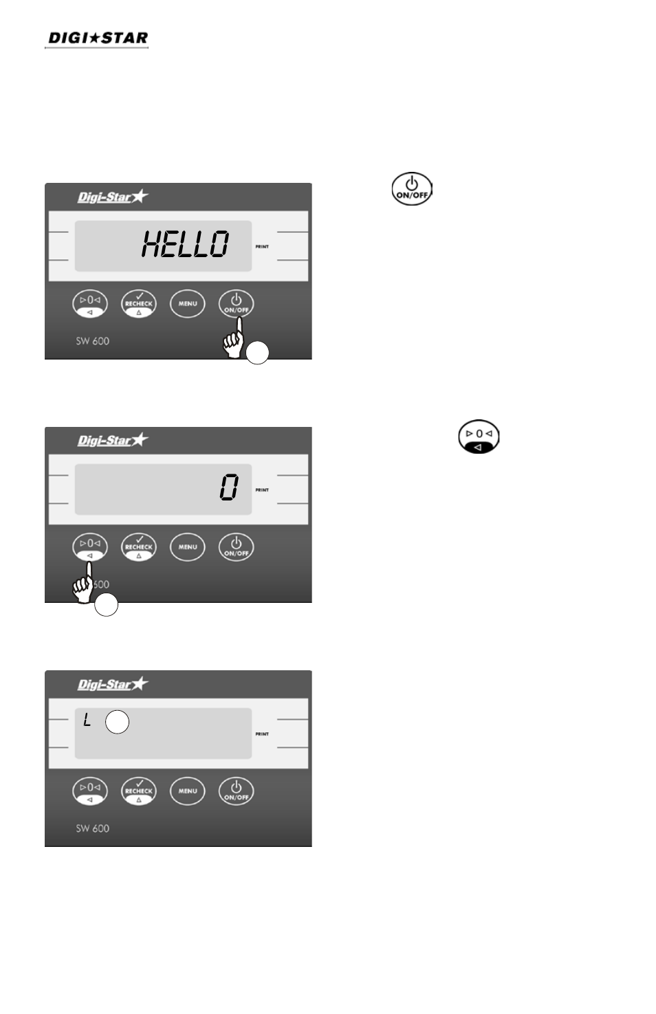 Operation, Turning on the scale, Zero balancing | Weighing animals, Hello | Digi-Star SW600 User Manual | Page 6 / 24