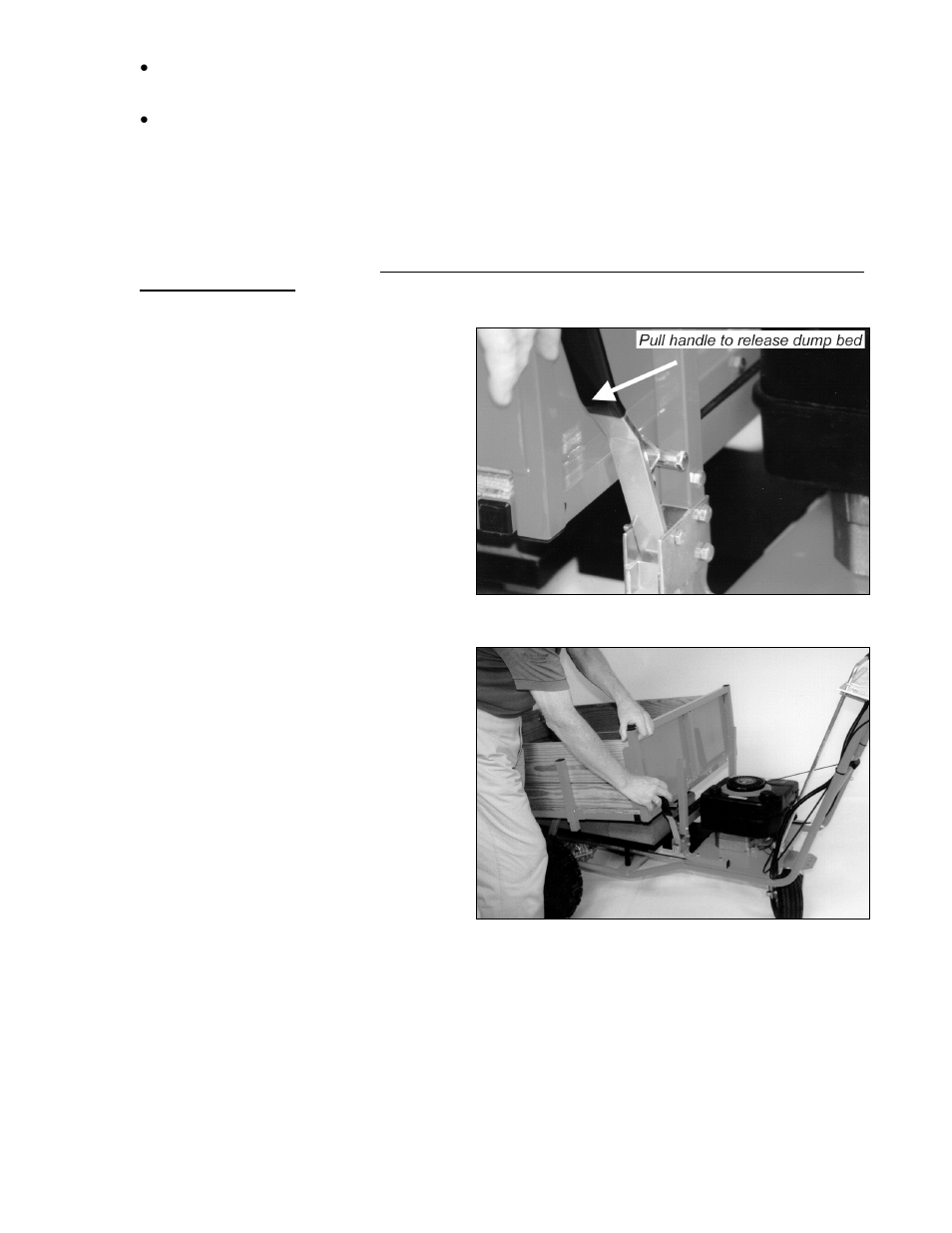 Dumping | DR Power 6.0 HP Pro Power Wagon (June 2002 - January 2007) User Manual | Page 13 / 29