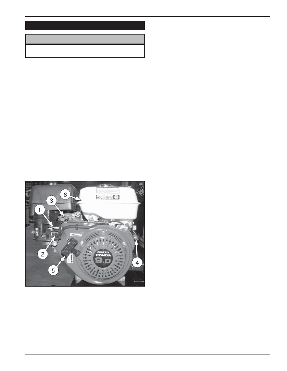 Echo Bear Cat LS27270T User Manual | Page 13 / 24