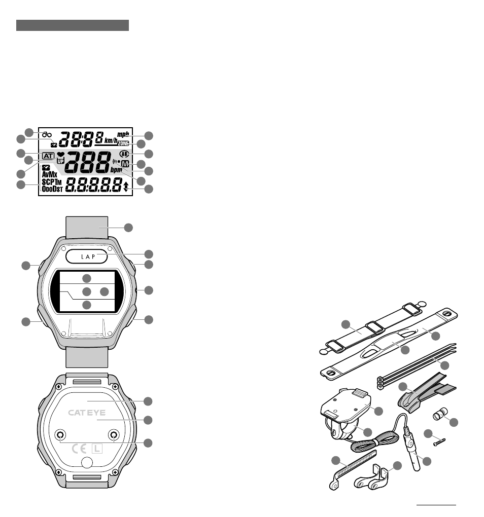 CatEye MSC-2Dx User Manual | Page 5 / 33