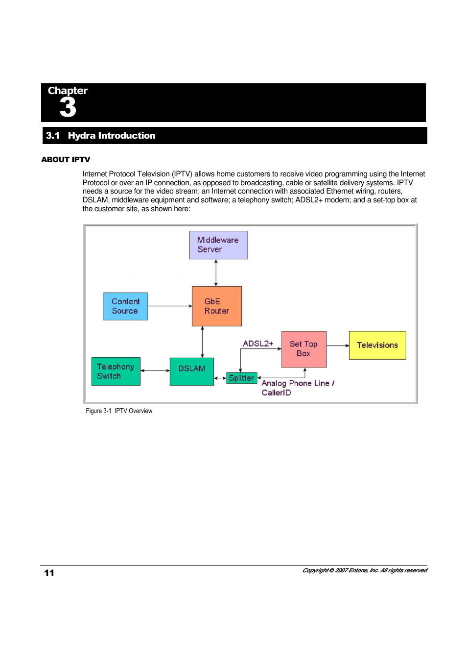 Entone Hydra II User Manual | Page 13 / 44