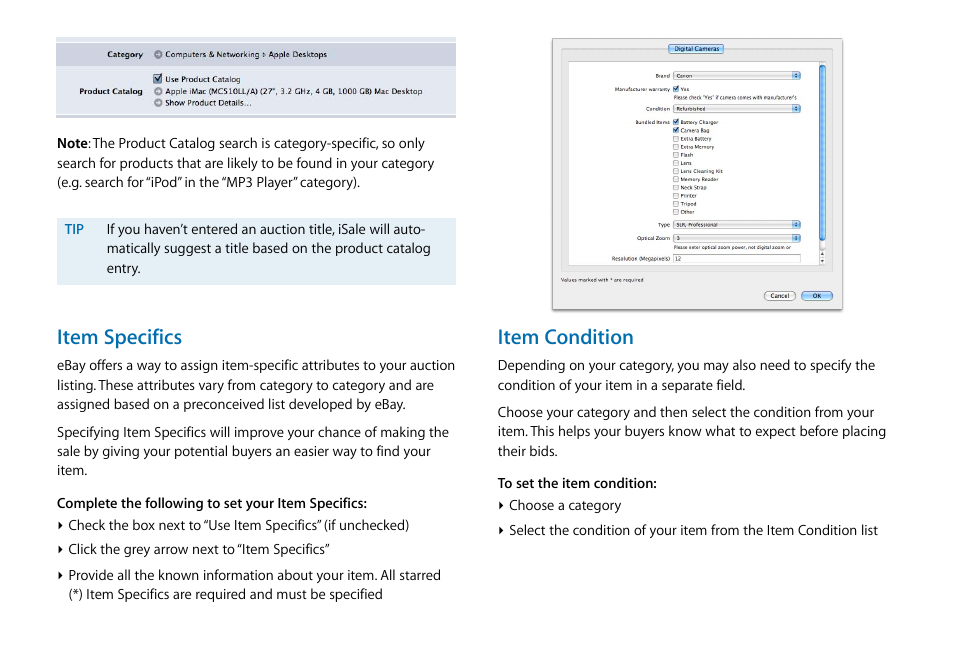Item specifics, Item condition | equinux iSale express 1.2.9 User Manual | Page 14 / 43