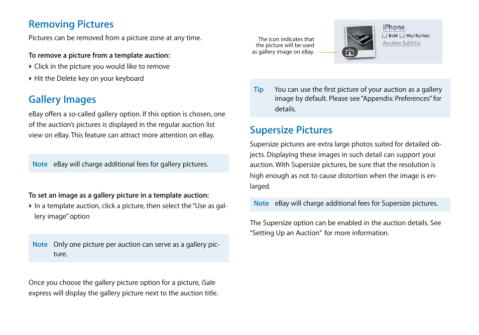 Removing pictures, Gallery images, Supersize pictures | equinux iSale express 1.2.9 User Manual | Page 29 / 43