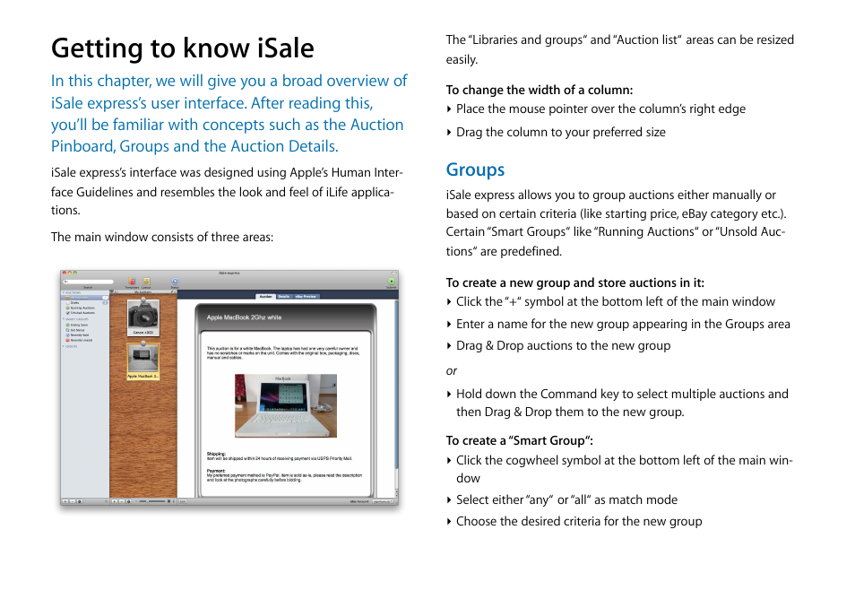 Getting to know isale, Groups | equinux iSale express 1.2.9 User Manual | Page 6 / 43