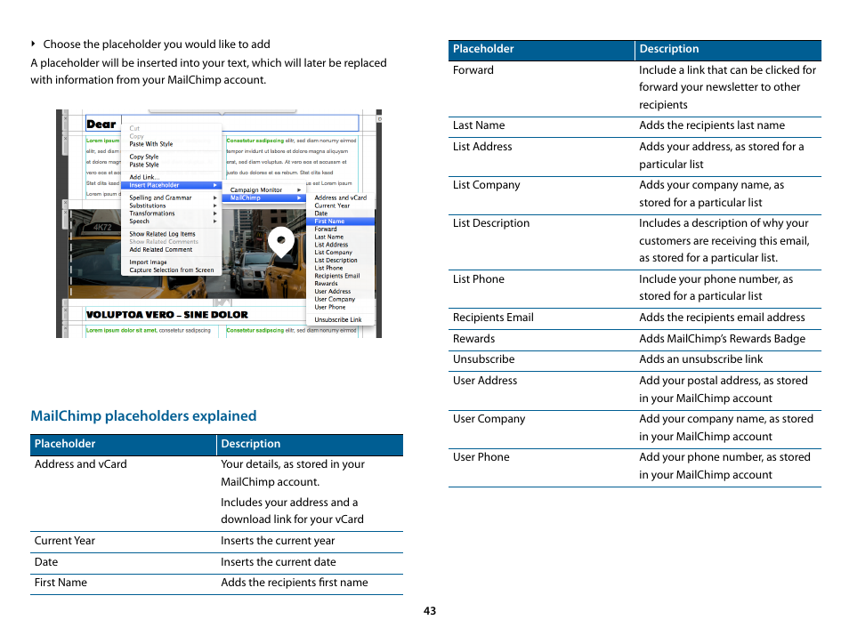 Mailchimp placeholders explained | equinux Mail Designer Pro 2 User Manual | Page 43 / 50