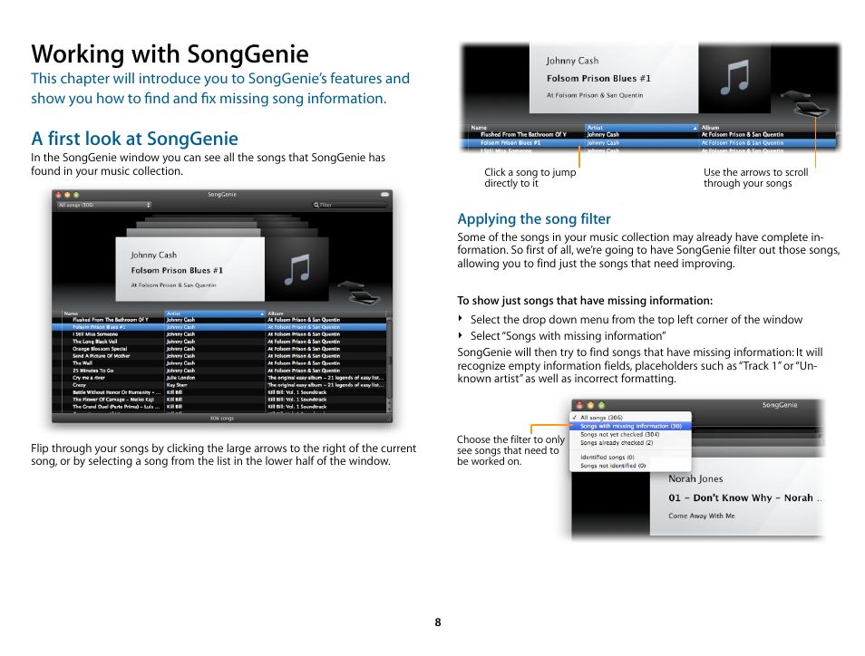 Working with songgenie, A ﬁrst look at songgenie, Applying the song ﬁlter | A first look at songgenie | equinux SongGenie 1.2.1 User Manual | Page 8 / 15