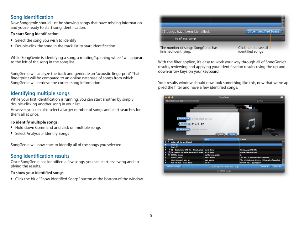 Song identiﬁcation, Identifying multiple songs, Song identiﬁcation results | Song identification, Song identification results | equinux SongGenie 1.2.1 User Manual | Page 9 / 15
