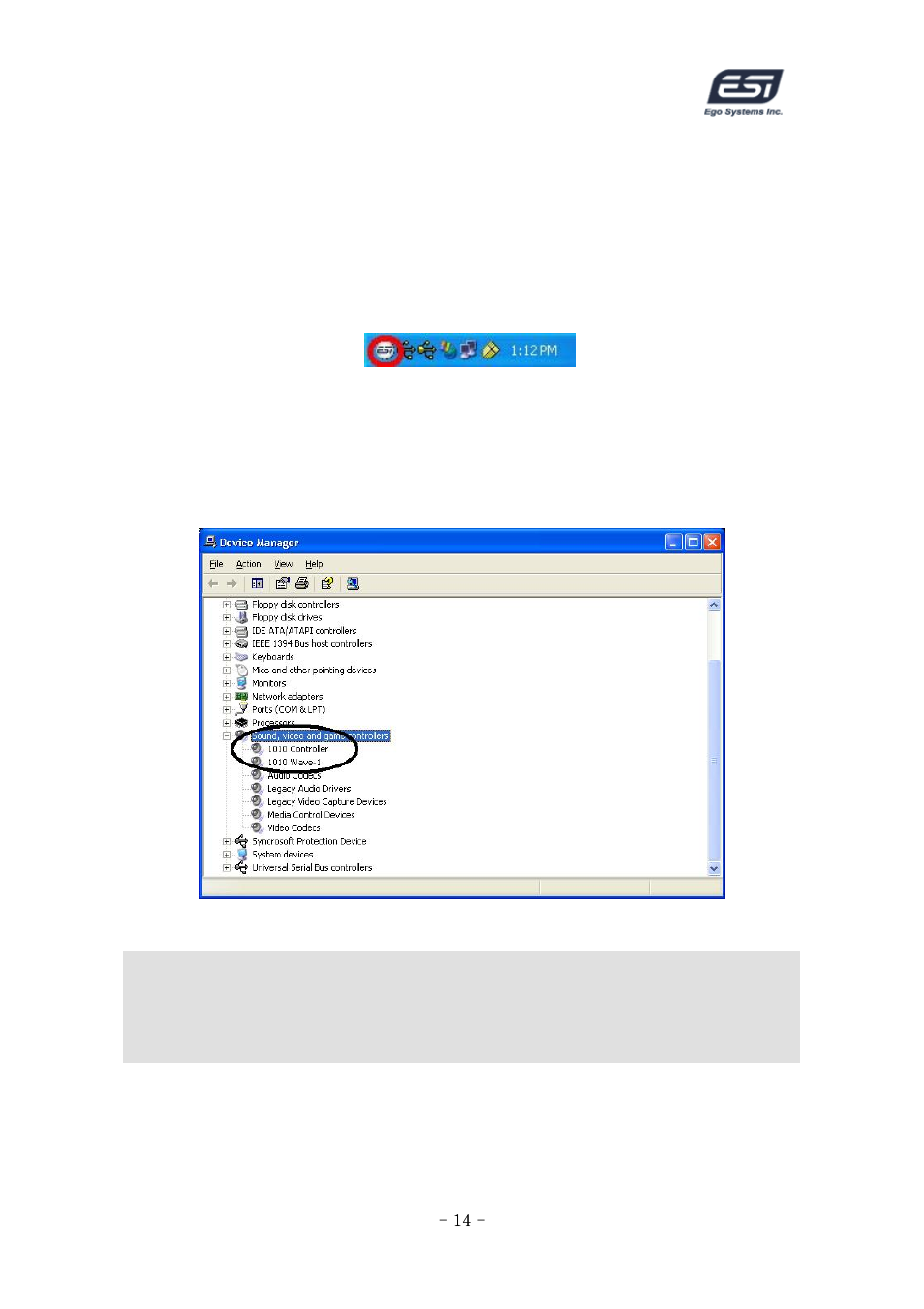 ESI ESP1010 User Manual | Page 14 / 30