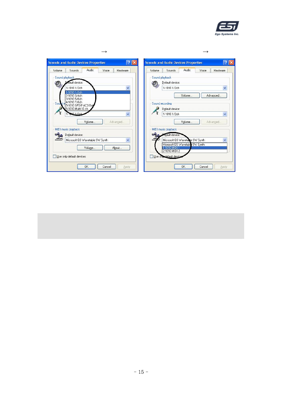 ESI ESP1010 User Manual | Page 15 / 30