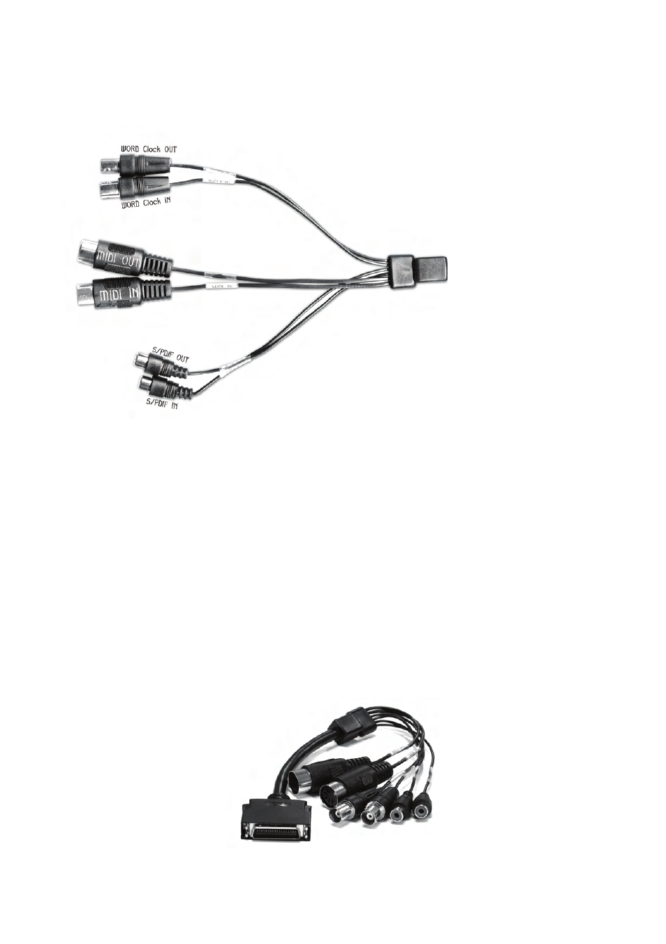 ESI MaXiO 032 User Manual | Page 12 / 53
