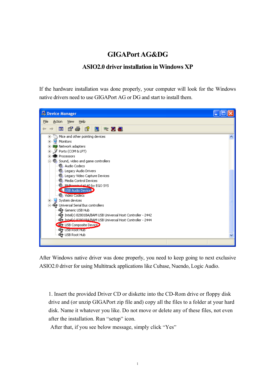 ESI GIGAPort DG Installation User Manual | 13 pages
