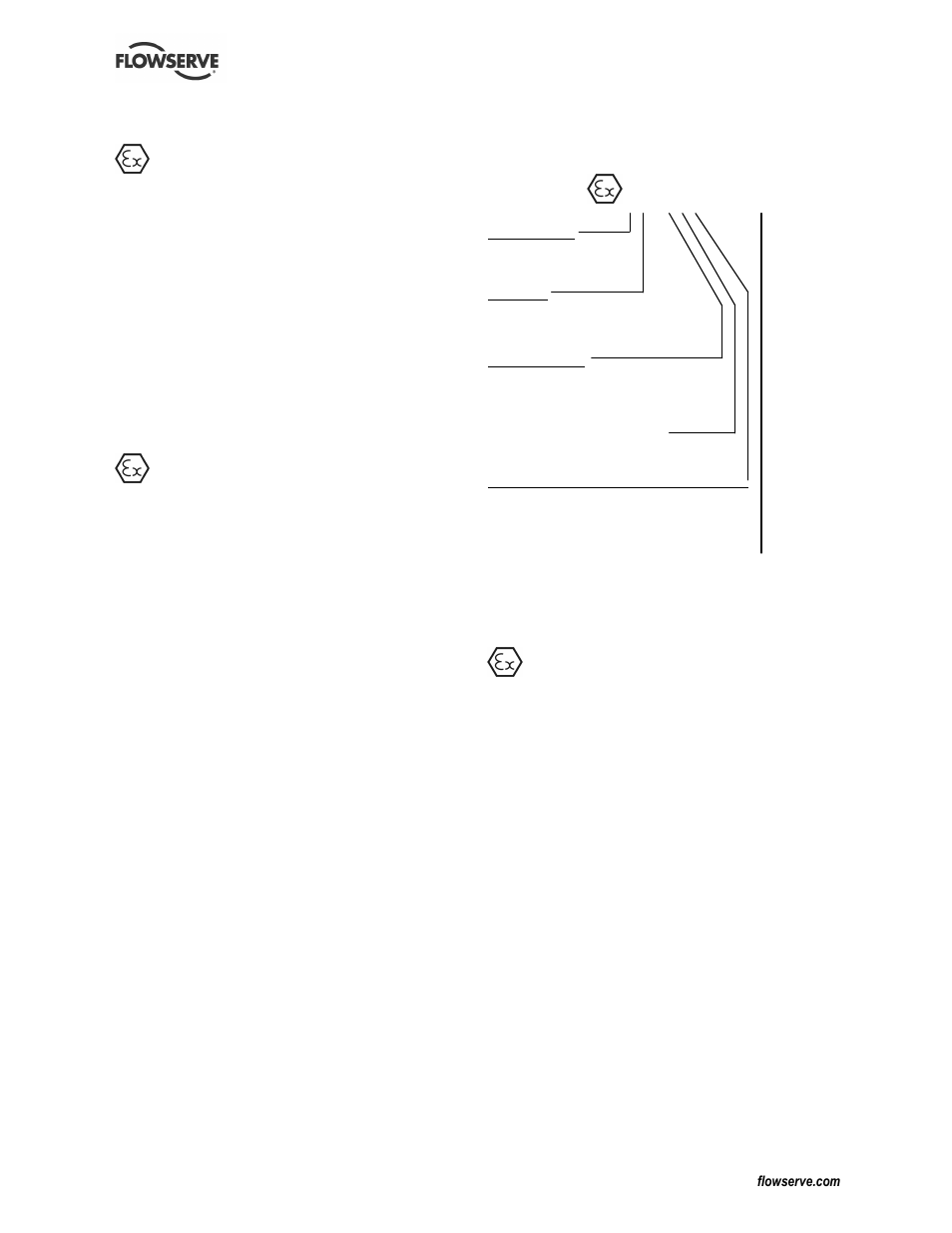 Flowserve ATEX E User Manual | Page 12 / 20