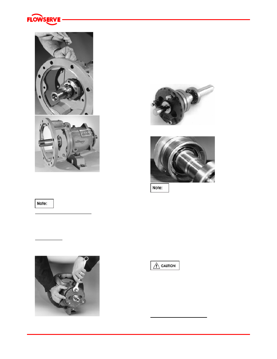 Flowserve Mark 3 User Manual | Page 31 / 48