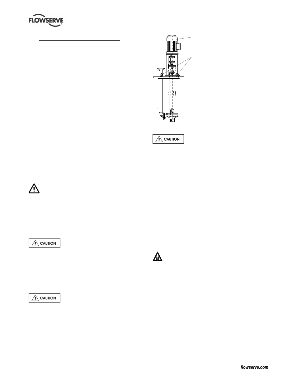 Flowserve CPXVC User Manual | Page 10 / 32