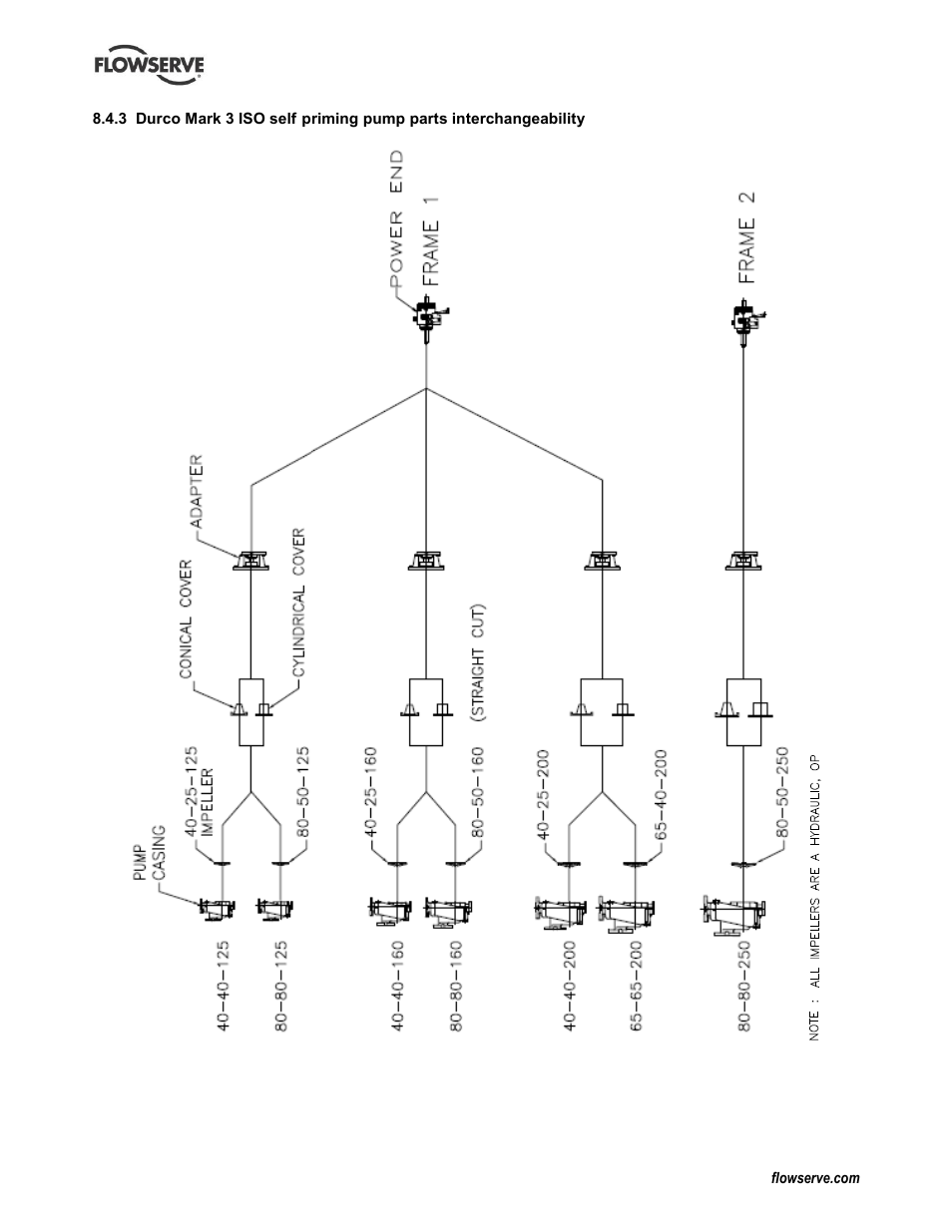 Flowserve Durco Mark 3 ISO Frame Mounted User Manual | Page 47 / 52