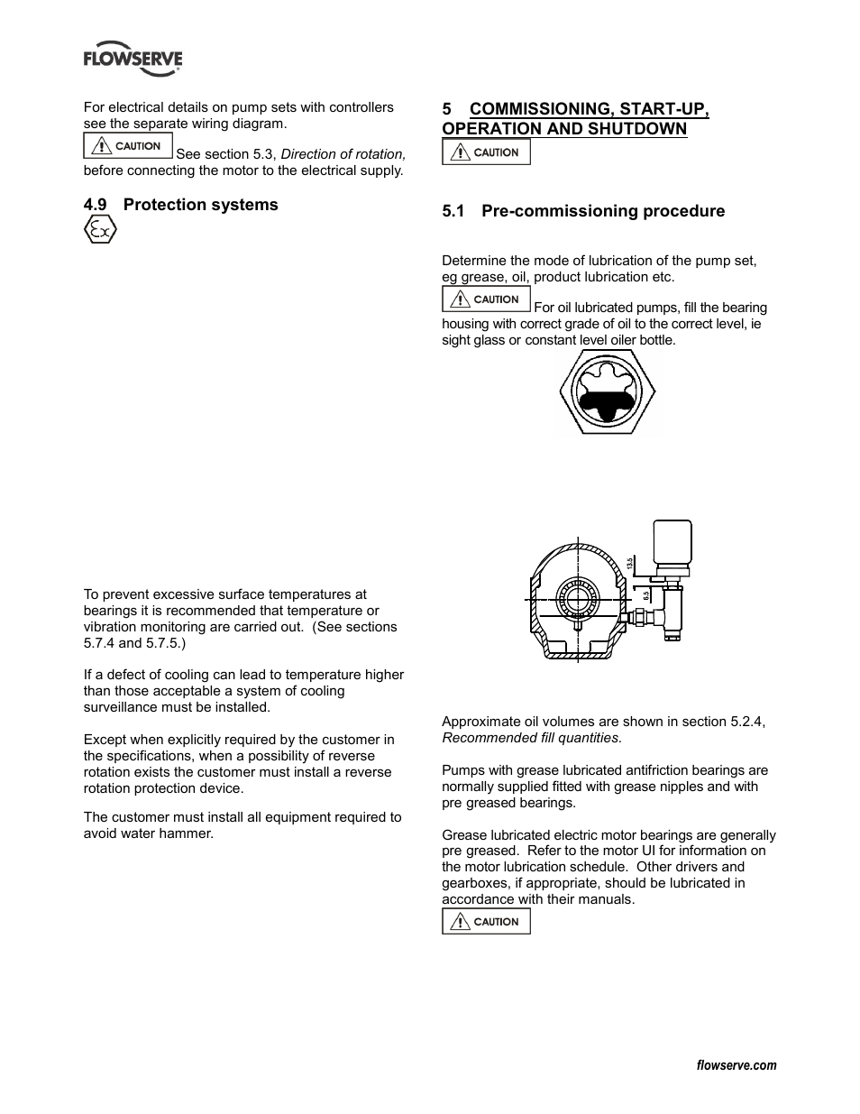 Protection systems, Commissioning, start-up, operation and shutdown, Pre-commissioning procedure | Commissioning and operation (5), Pre-commissioning (5.1) | Flowserve LNN User Manual | Page 20 / 56