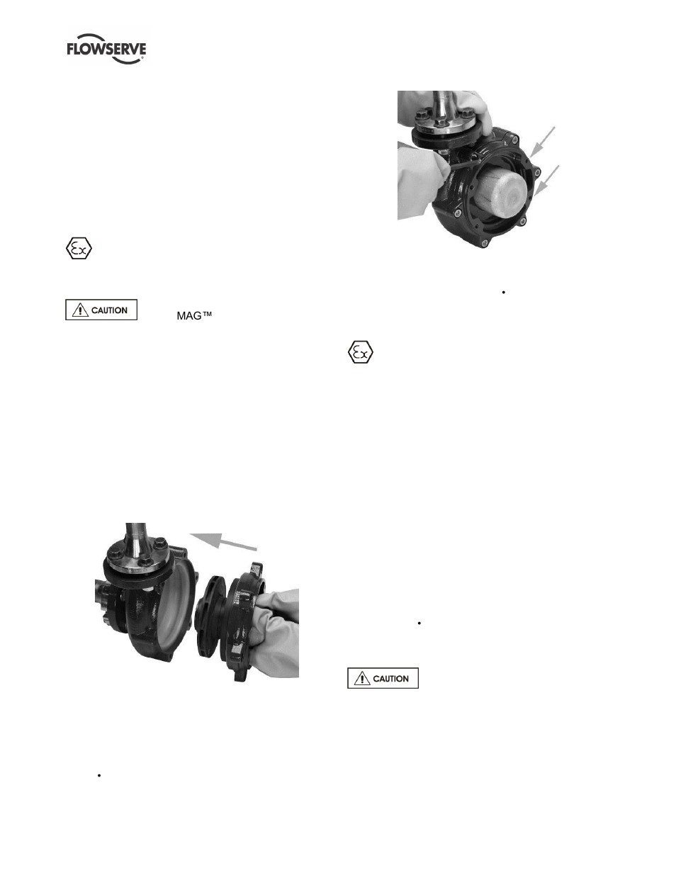 Wet end assembly, Drive end disassembly, 11 wet end assembly | 12 drive end disassembly | Flowserve U-MAG INNOMAG User Manual | Page 29 / 40