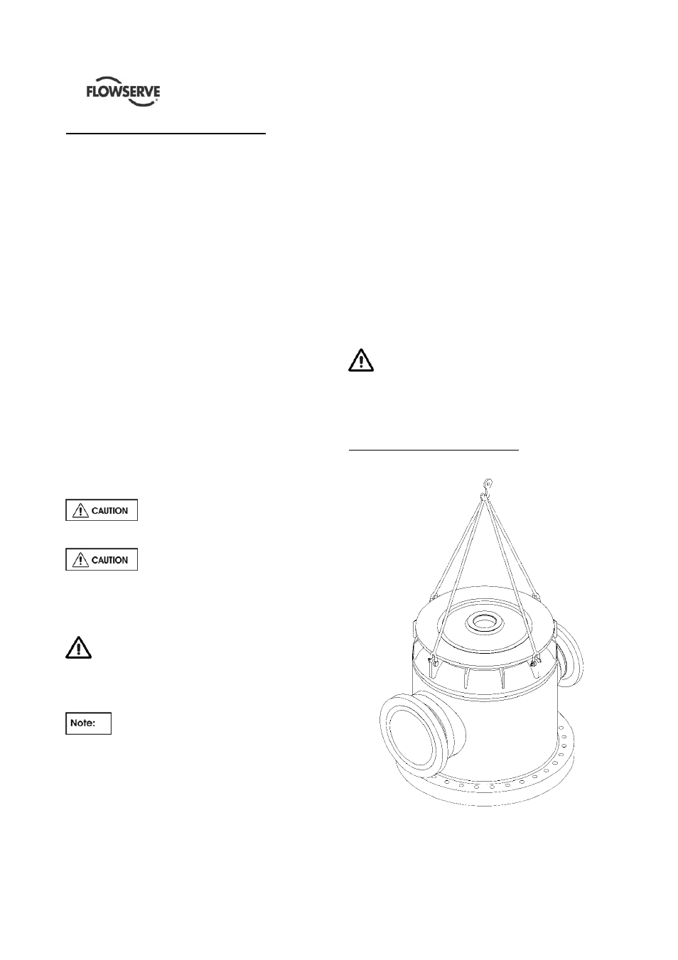 Flowserve QLQ Vertical Worthington User Manual | Page 10 / 61