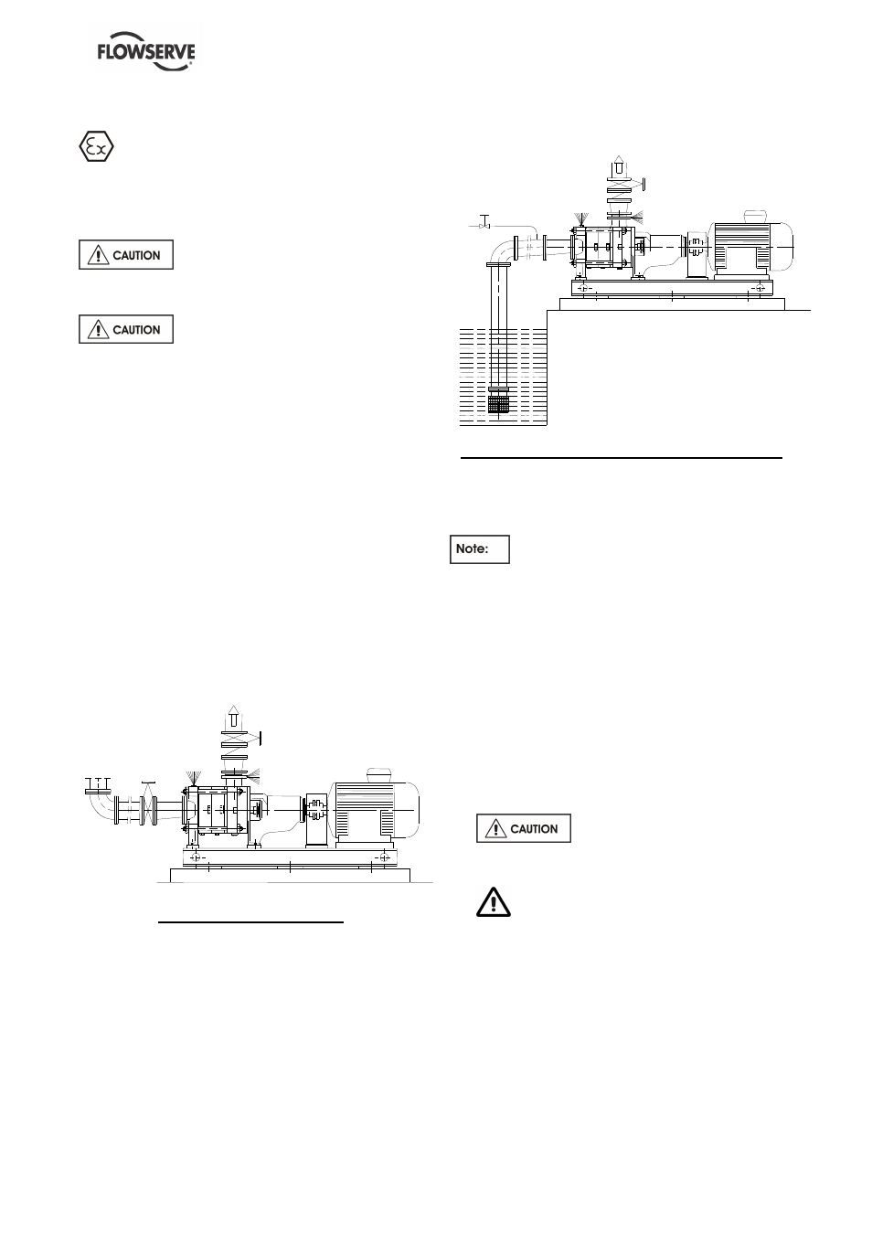 3 priming and auxiliary supplies, 4 starting the pump | Flowserve FP User Manual | Page 19 / 40