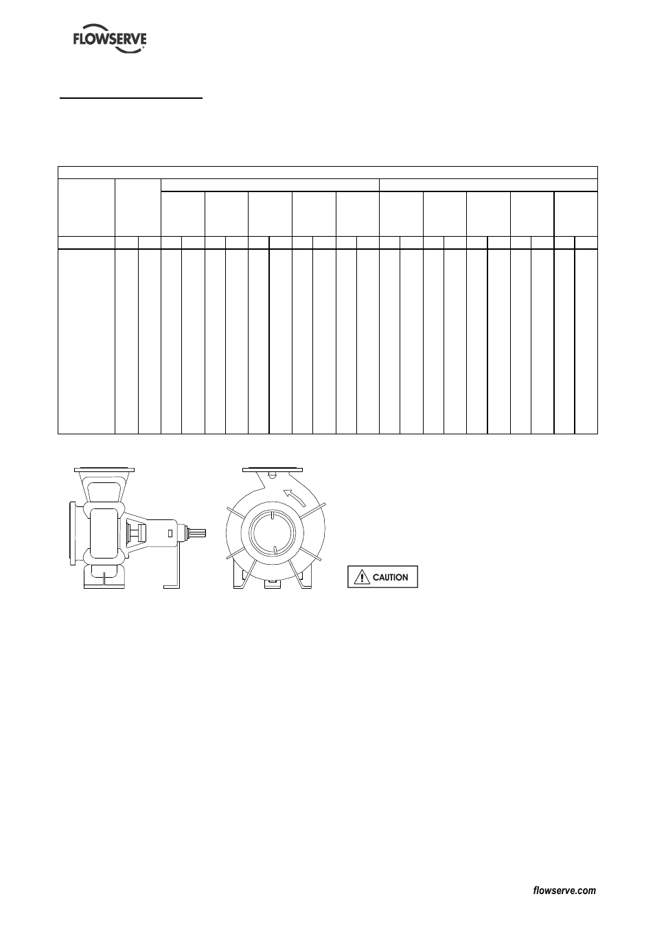 3 pump description, 1 configurations | Flowserve DS User Manual | Page 13 / 36