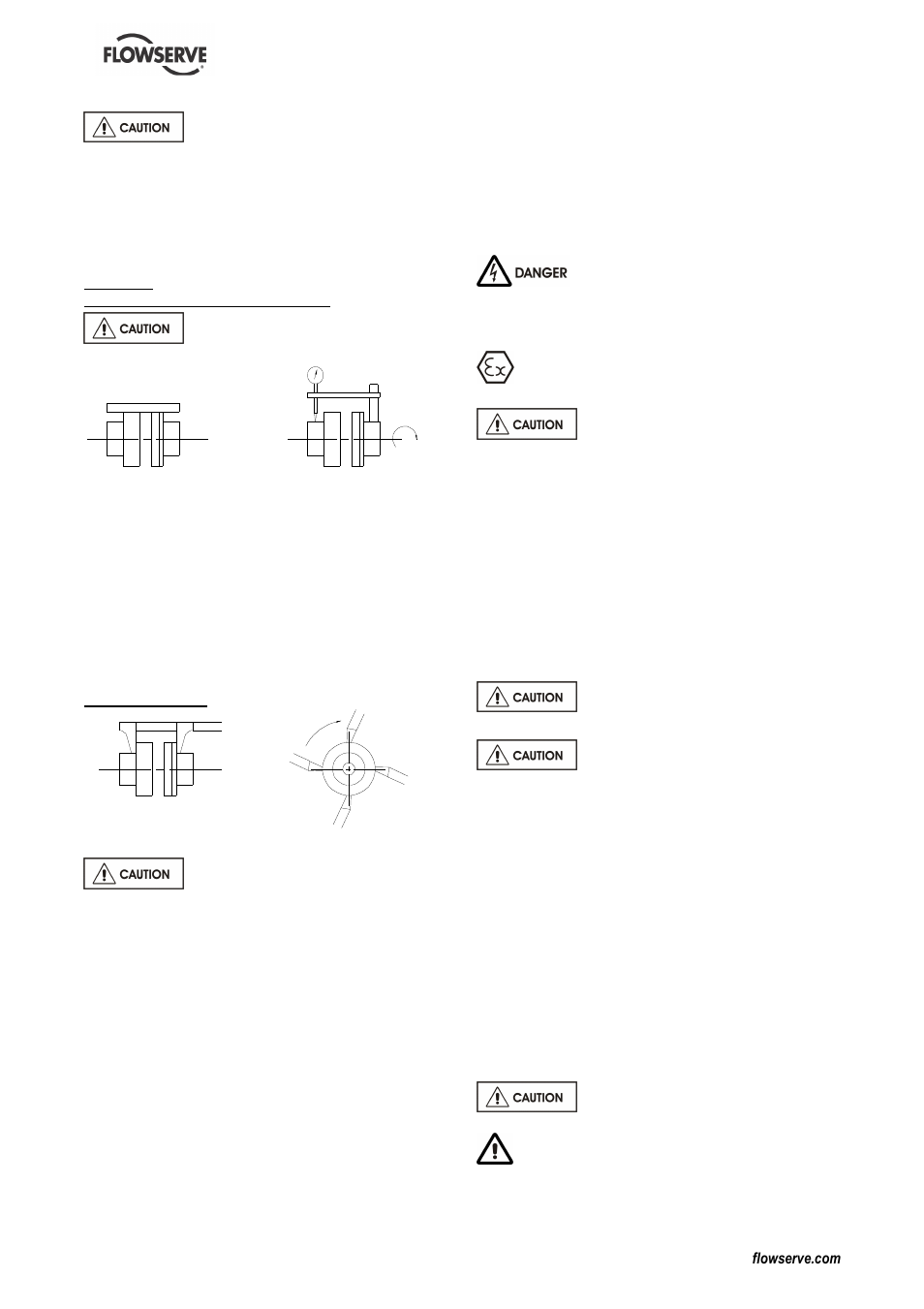 Flowserve DS User Manual | Page 18 / 36