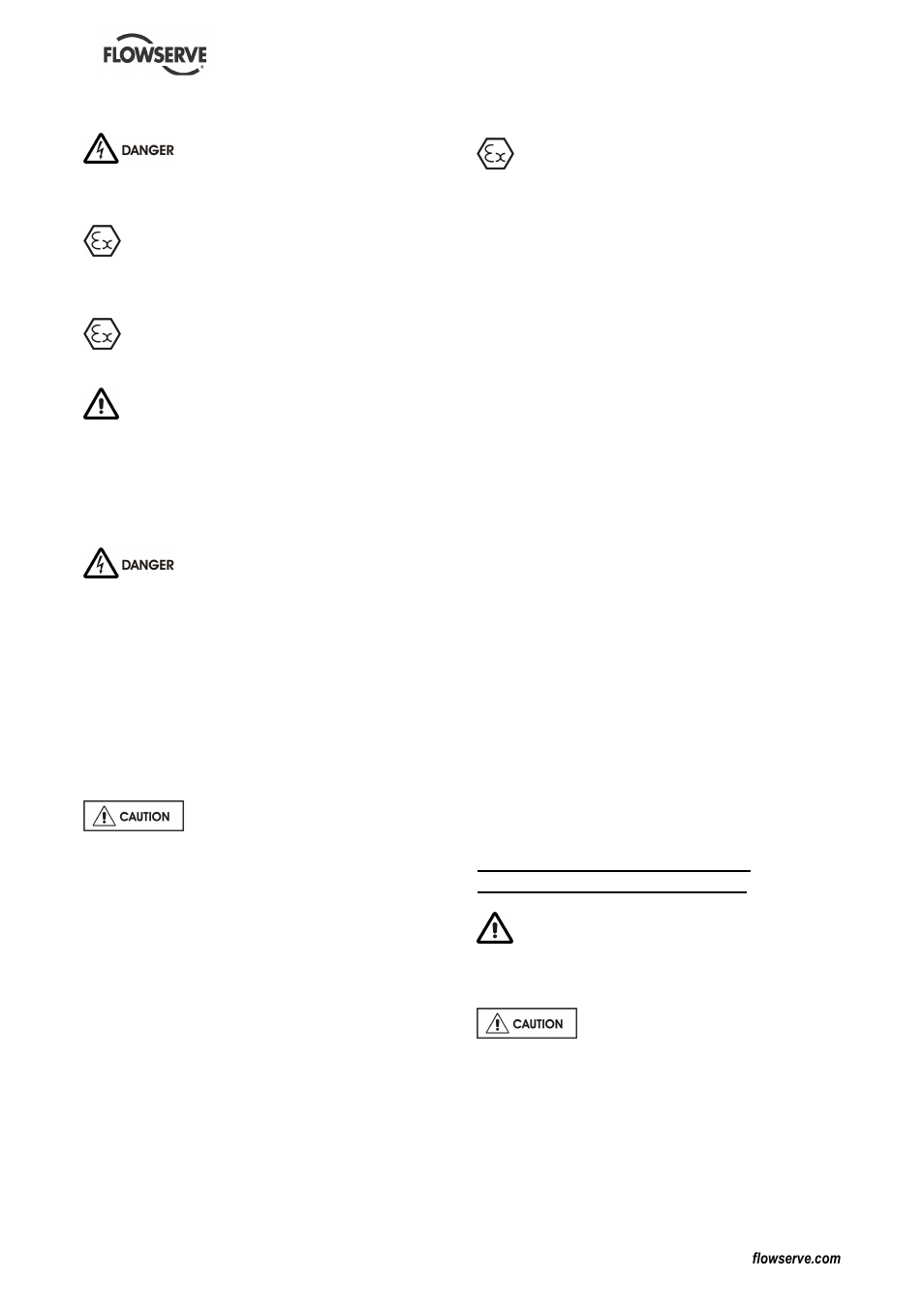 Flowserve DS User Manual | Page 20 / 36