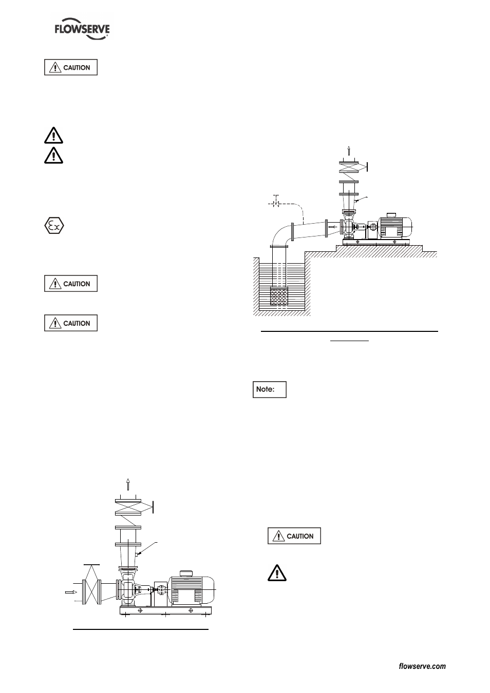 2 guarding, 3 priming and auxiliary supplies, 4 starting the pump | Flowserve DS User Manual | Page 21 / 36
