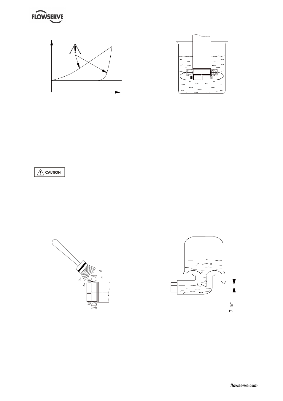 Flowserve DS User Manual | Page 27 / 36