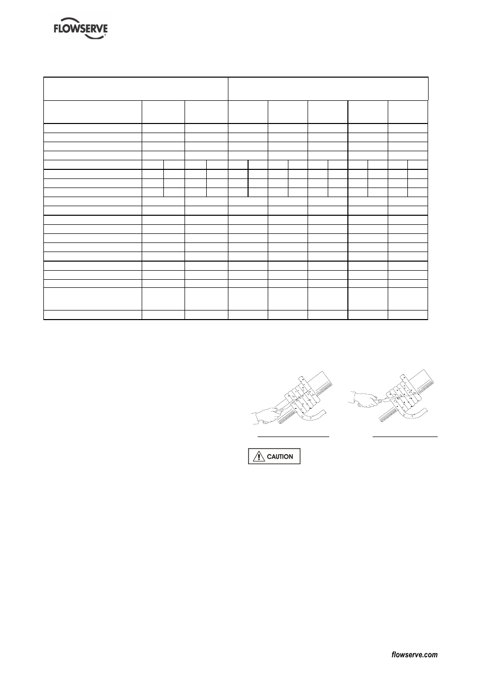 Flowserve DS User Manual | Page 29 / 36