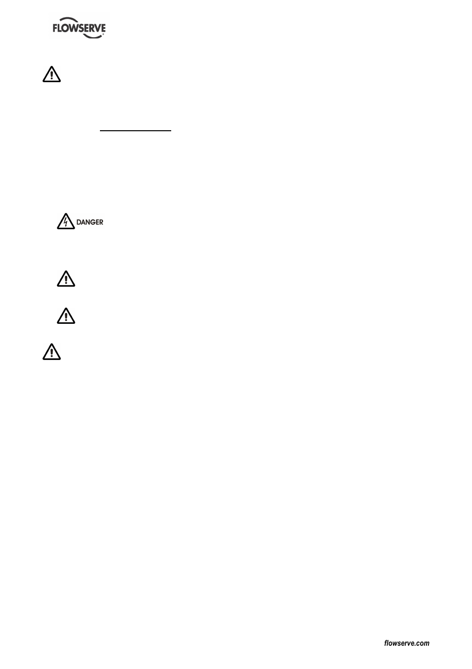 Flowserve | Flowserve DS User Manual | Page 31 / 36