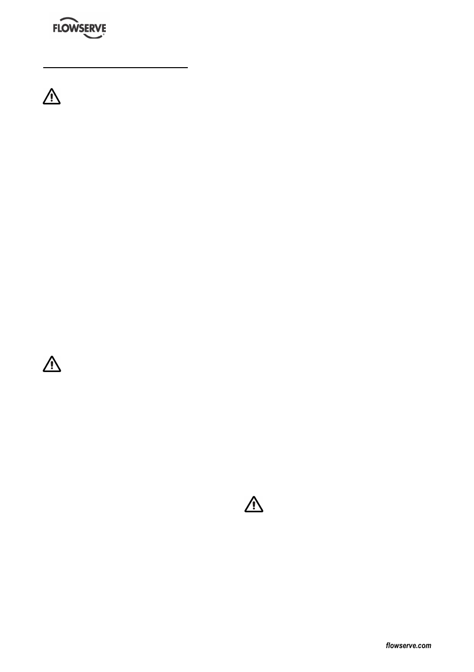 Flowserve DS User Manual | Page 4 / 36