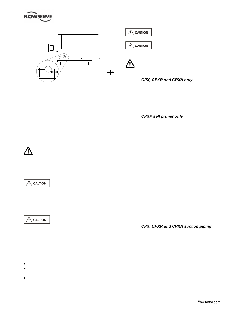 6 piping, Piping (4.6) | Flowserve CPX IDP User Manual | Page 14 / 44