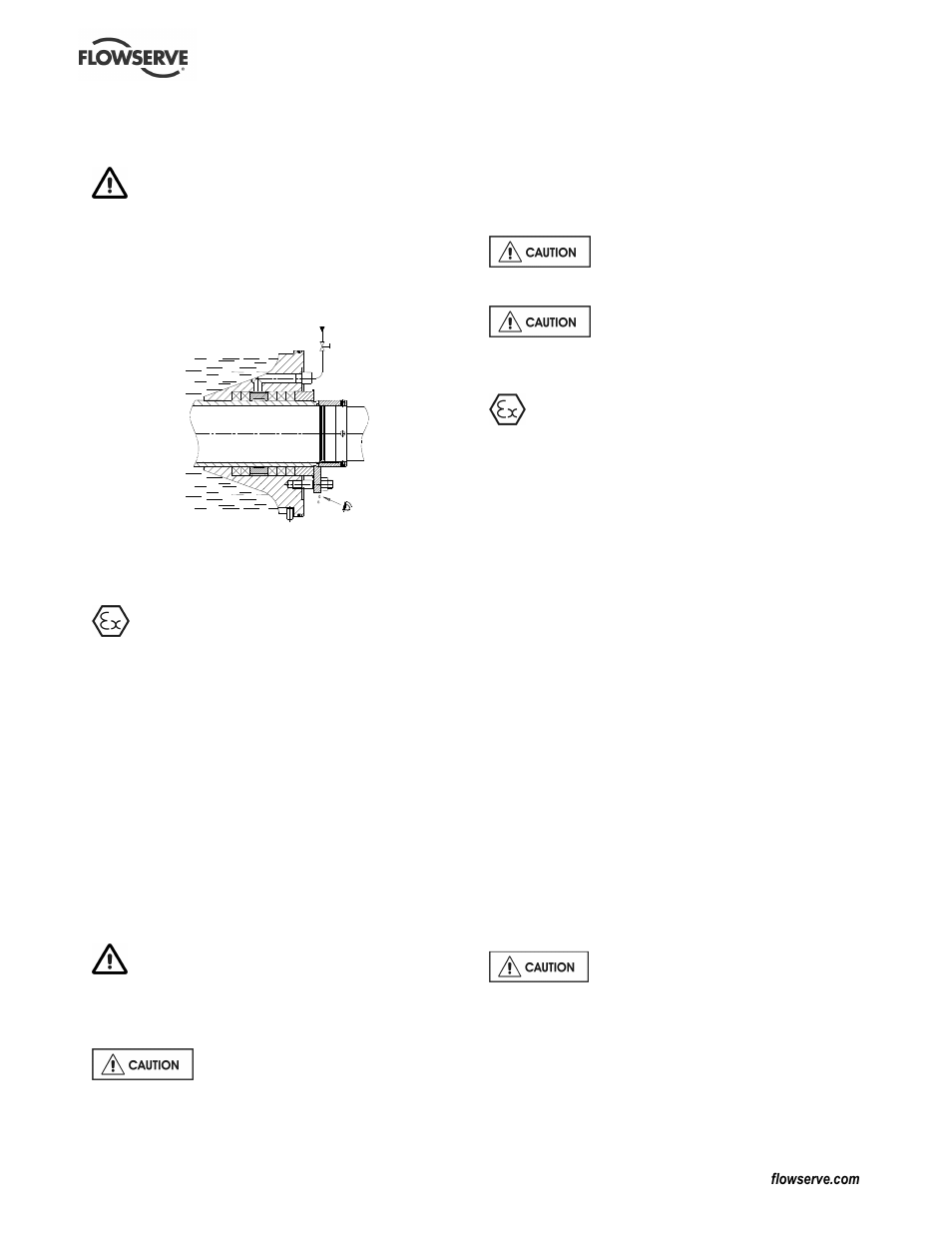 Flowserve L Worthington Simpson User Manual | Page 20 / 36