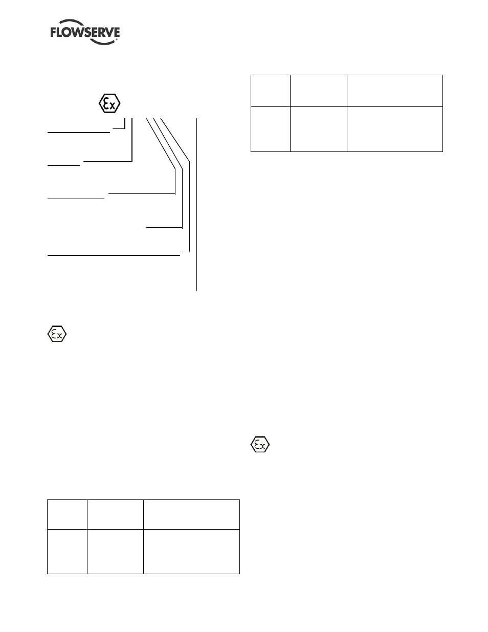 2 marking, 3 avoiding excessive surface temperatures, 4 preventing the buildup of explosive mixtures | Flowserve ESP2 User Manual | Page 6 / 62