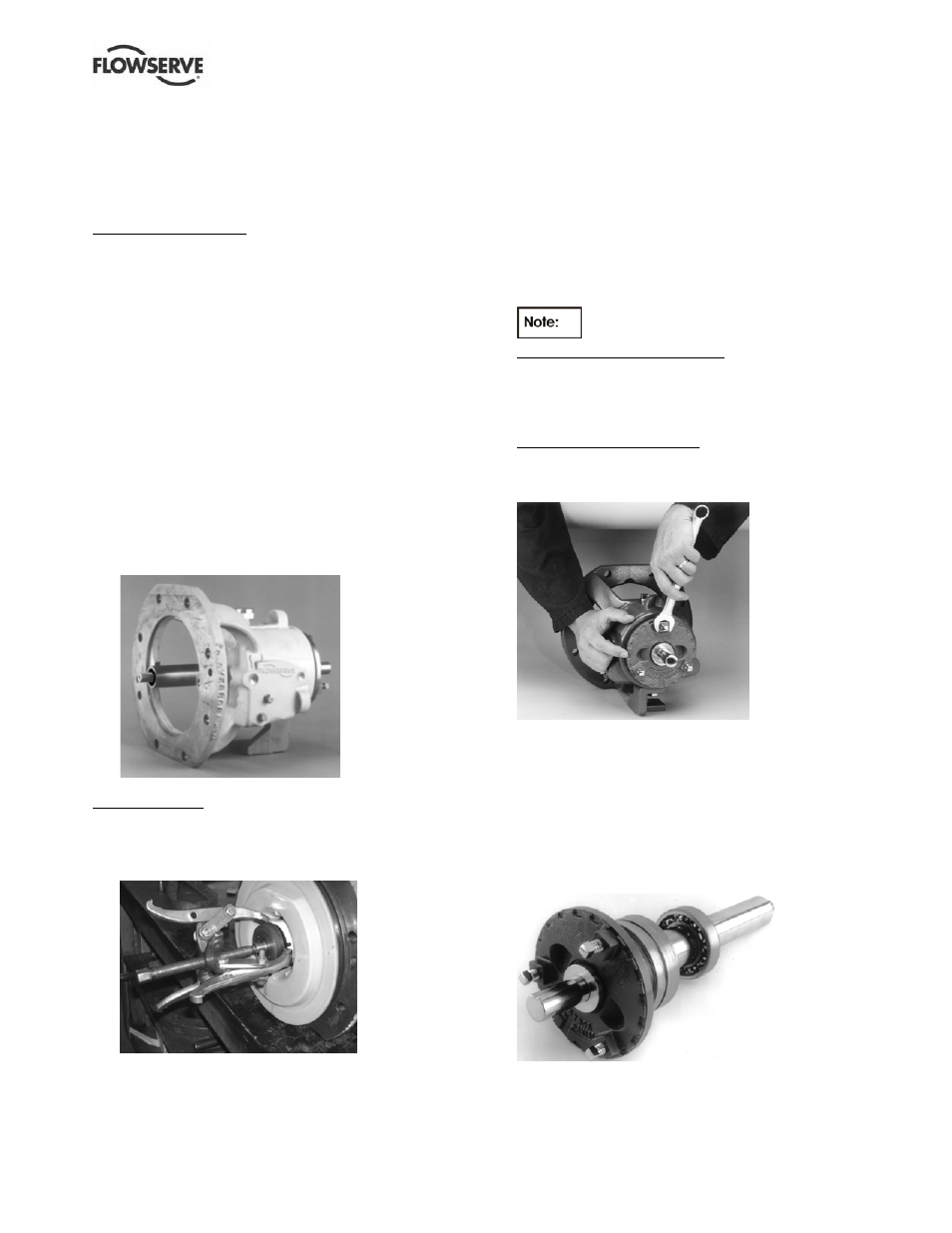 Flowserve S-series PolyChem User Manual | Page 36 / 52