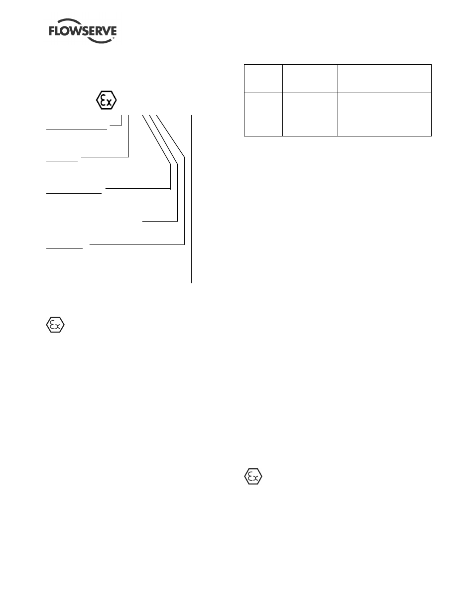 Flowserve ESP3 User Manual | Page 6 / 64