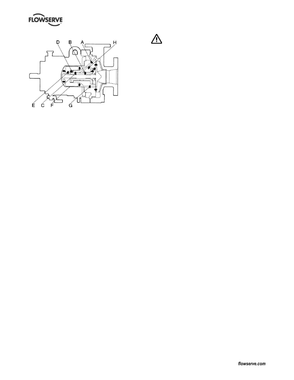 Flowserve Guardian Sealless Metallic User Manual | Page 13 / 68