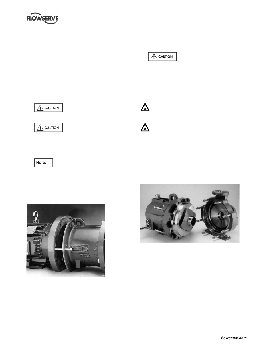Flowserve Guardian Sealless Metallic User Manual | Page 39 / 68